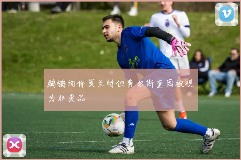 鹈鹕询价莫兰特但费尔斯奎因被视为非卖品