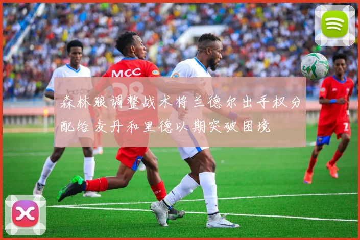 森林狼调整战术将兰德尔出手权分配给麦丹和里德以期突破困境