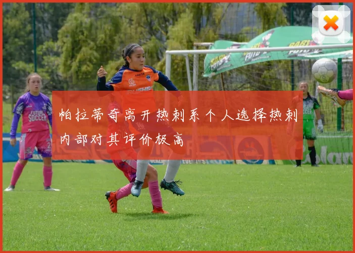 帕拉蒂奇离开热刺系个人选择热刺内部对其评价极高