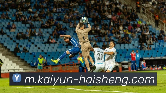 奖项证书